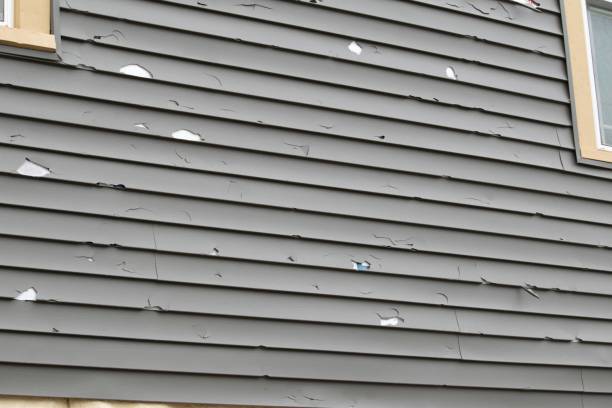 Professional Siding Installation & Repair in Shawneetown, IL